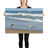 Poster - Beach Birds