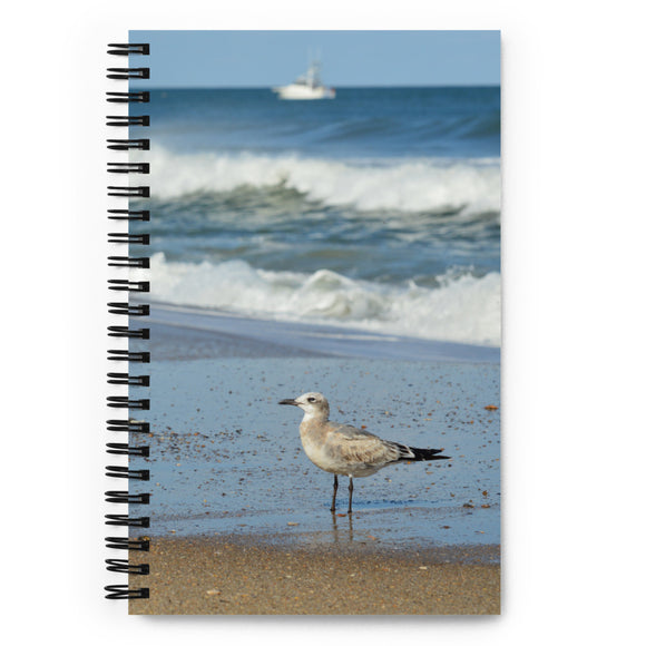 Spiral notebook - Beach Birds